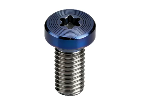 Hexalobular Socket Head PVD CD-Pattern Screw
