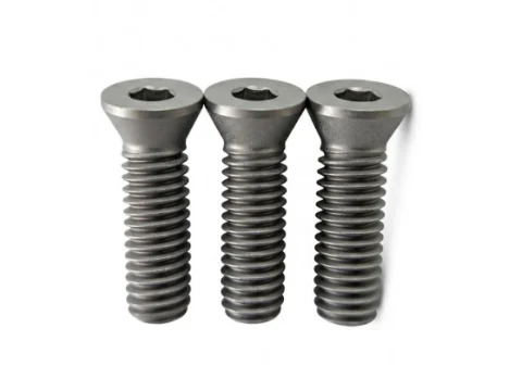 TORX® T25 Tool Screw | M6×20 (1.0 Pitch)