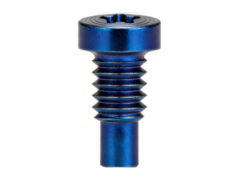 Hexalobular Socket Head PVD CD-Pattern Screw