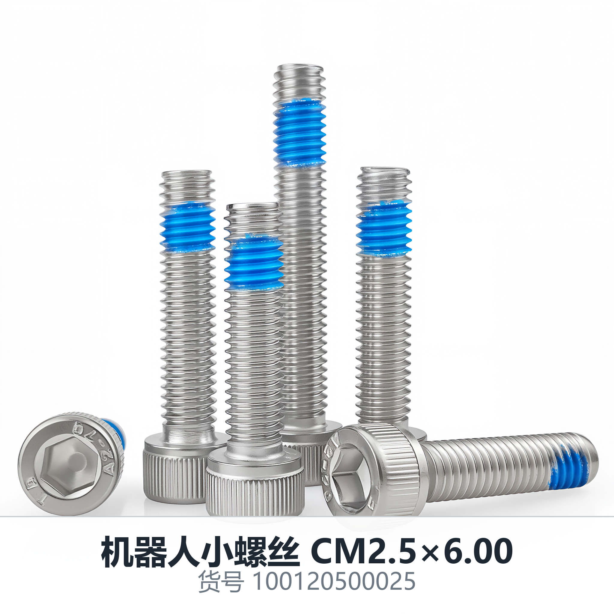 Robot Micro Screw CM2.5×6.00