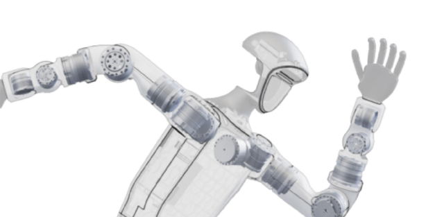 Humanoid Robot Applications