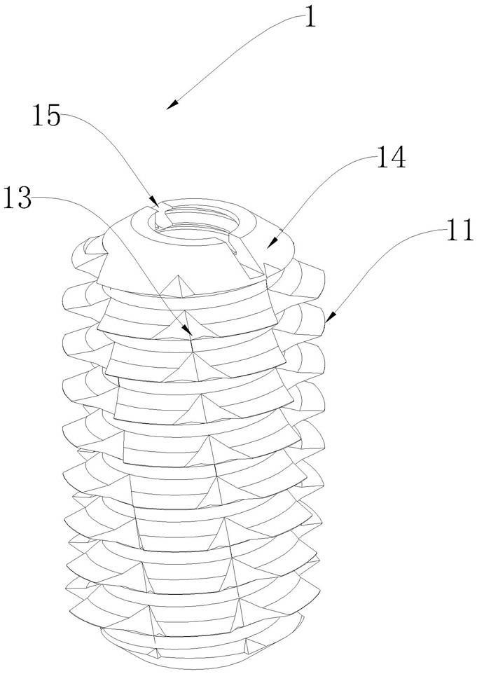 A size screening equipment for nutsAbstract Drawings