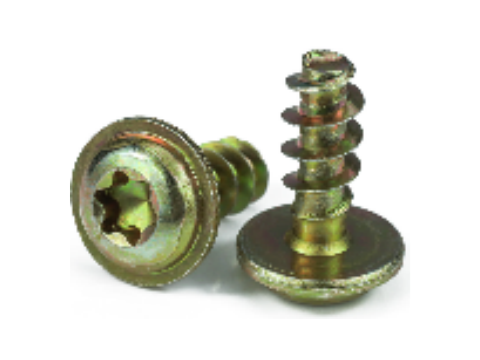 PT Torx Pan Head Flange Thread-Forming Screw for Plastic