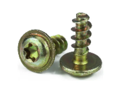 PT Torx Pan Head Flange Thread-Forming Screw for Plastic