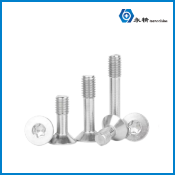 Stainless Steel Torx Socket Flat Point Grub Screw