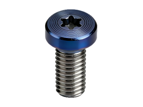Hexalobular Socket Head PVD CD-Pattern Screw
