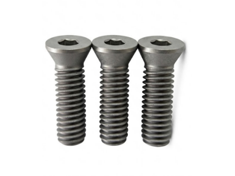 TORX® T25 Tool Screw | M6×20 (1.0 Pitch