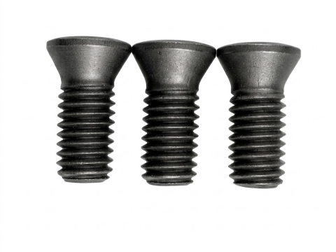 TORX® T20 Tool Screw | M5×12 (0.8 Pitch)